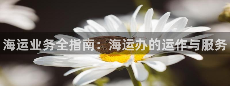 欢迎来到赌船公海710
