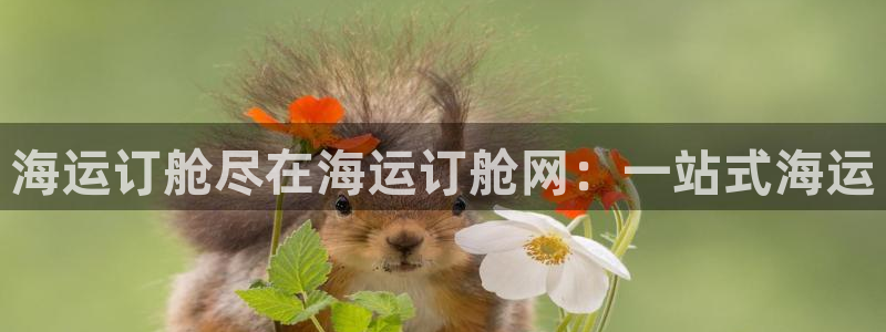 公海赌船网址710