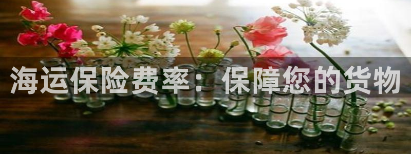 去公海赌博