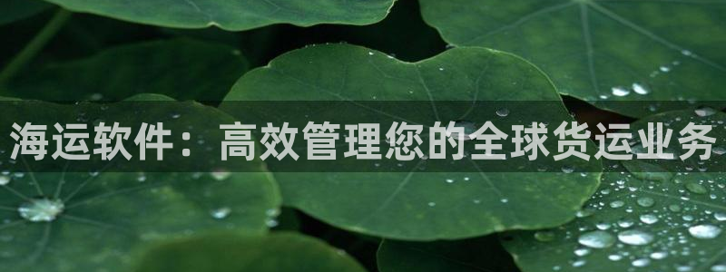公海赌钱公安会抓吗