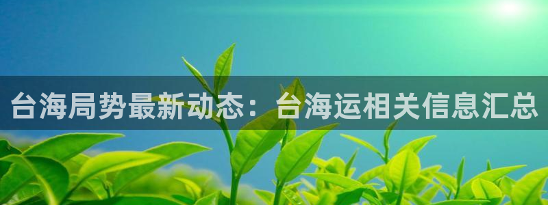 欢迎来到公海电脑版