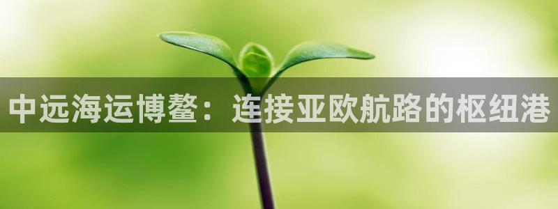 公海赌船网页