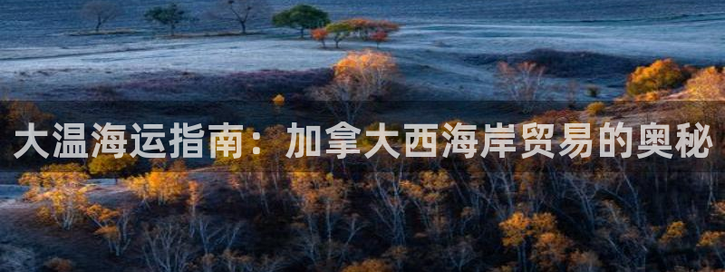 欢迎你来到公海欢迎你来到赌船