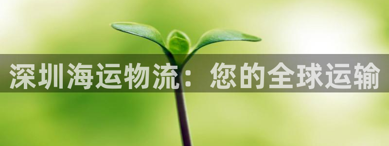 公海赌赌船手机下载