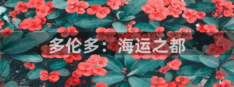欢迎来公海欢迎来到船701
