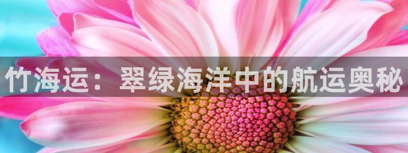 公海赌博怎么处理
