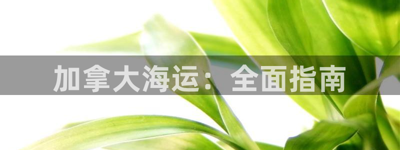 欢迎您来到公海