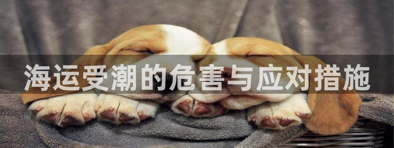 欢迎来公海欢迎来到赌船