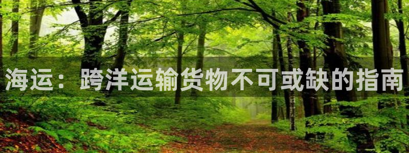 公海赌赌船手机下载