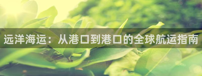 欢迎你来到公海 赌船