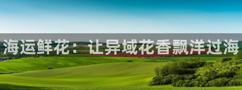 欢迎公海赌710
