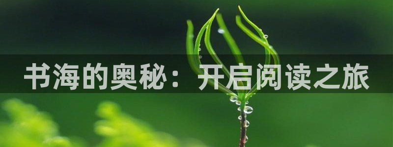 欢迎您到公海赌来