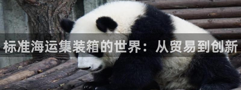 欢迎来到公赌船