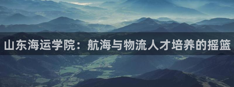 公海赌赌船官网
