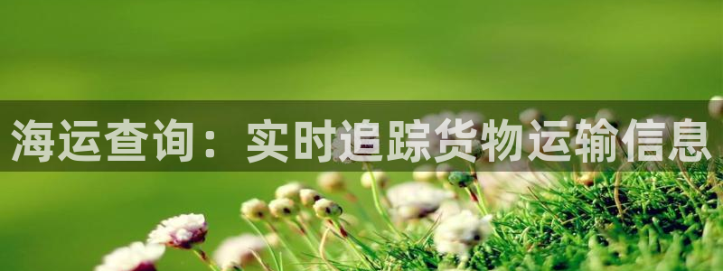 欢迎来到公海堵船