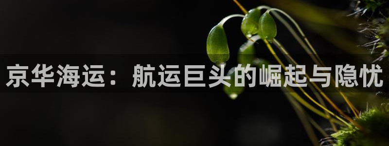 公海赌赌船贵宾会员检测路线