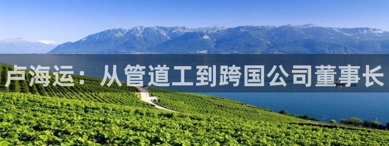 去公海赌博合法吗