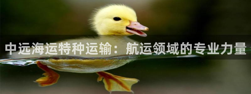 公海赌赌船官网可以做代理吗