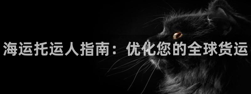 公海赌博为什么没人管