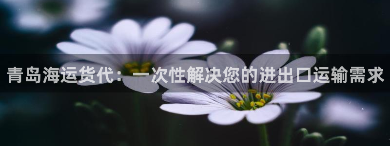欢迎来公海欢迎来赌船欢迎