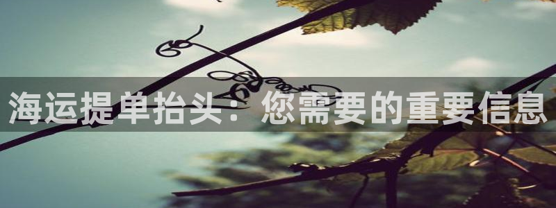 欢迎来公海欢迎来赌船!