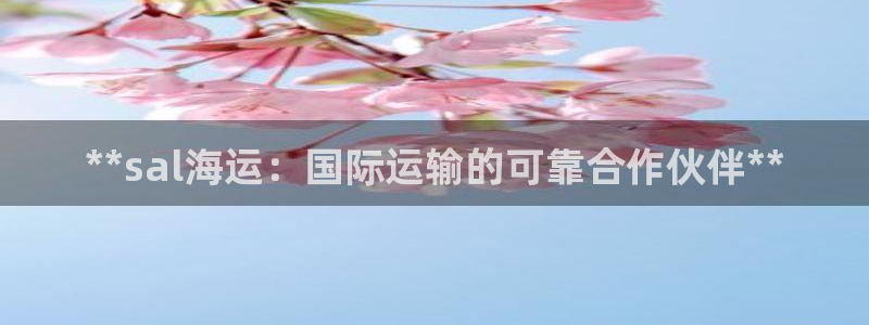 欢迎来到公海电脑版