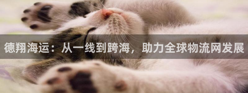 欢迎来到公海欢迎来到赌船
