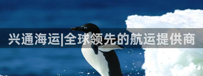 公海赌赌船利息宝是真的吗