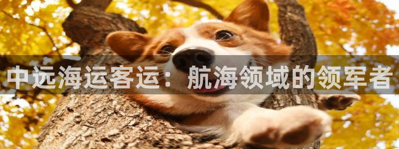 公海赌赌船贵宾会员检测路线