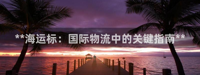 公海赌船怎么样