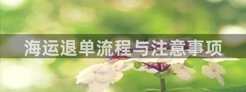 欢迎你来到公海 赌船