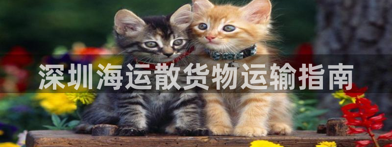 欢迎你来到公海欢迎你来到赌船