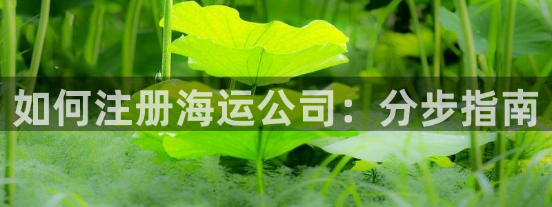欢迎来到海边