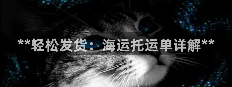 公海赌船官方