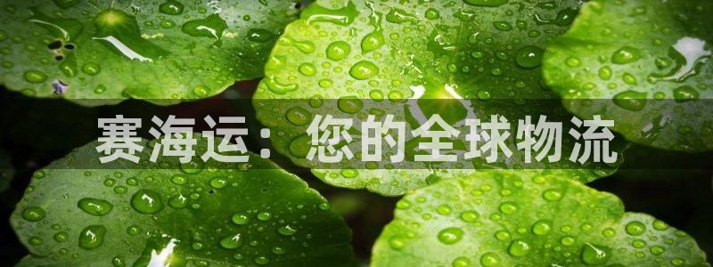 欢迎来公海欢迎来赌船欢迎