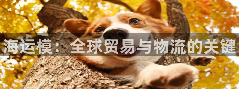 欢迎来到赌船公海710