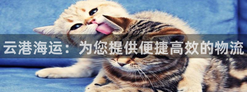 公海赌船网页