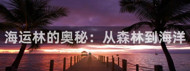 公海赌博是什么意思