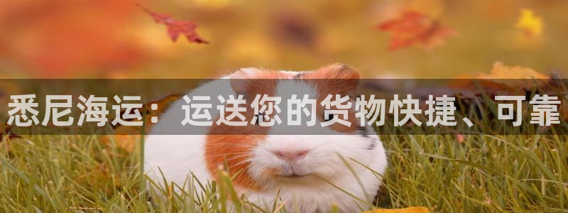 欢迎来公海欢迎来赌船!