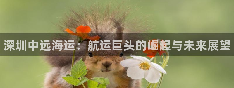 公海赌钱