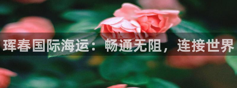欢迎公海来到赌船710