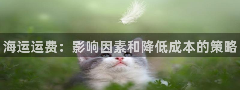 公海赌博为什么不犯法