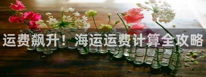 公海赌赌船jcjc710