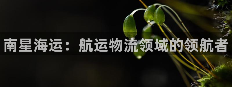 公海赌钱公安会抓吗