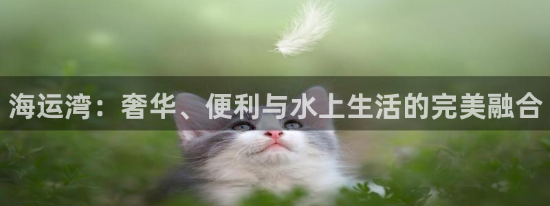 公海赌钱犯法吗