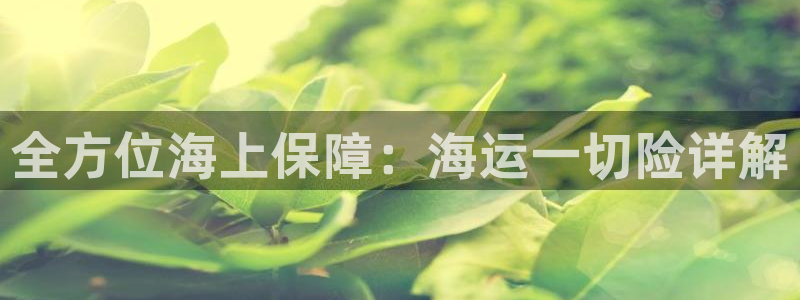 公海赌赌船官网