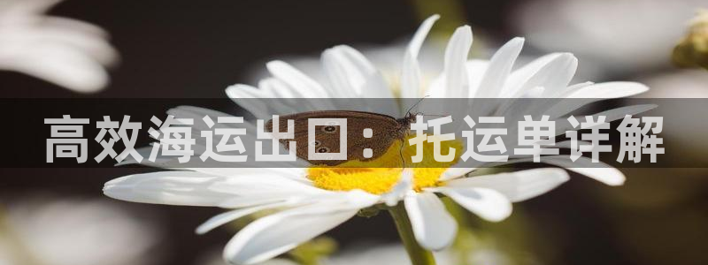 公海赌船官方