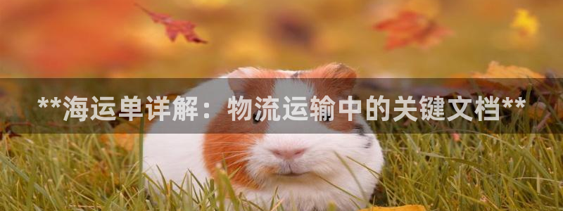 公海 赌船710手机版下载