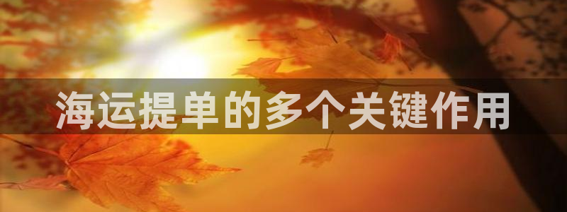 欢迎您来到公海