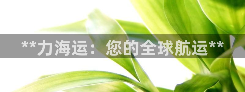 欢迎来公海欢迎来到赌船!